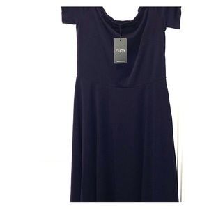 Beautiful dressy dress, can be used as formal.